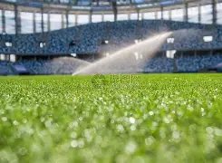 激战正酣,巴黎圣日耳,曼迎战拜仁,瓦力体育,瓦力体育平台,体育赛事投注,瓦力博彩,体育投注,体育直播