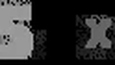 伊万科维奇强调泰国对决将严守策略克敌制胜